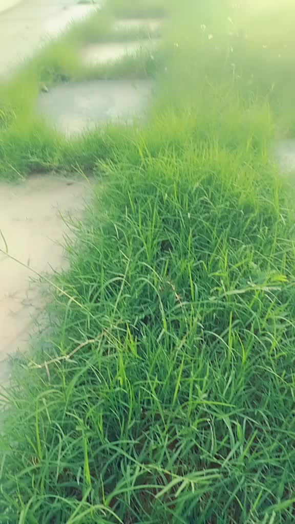 @Gangadhar