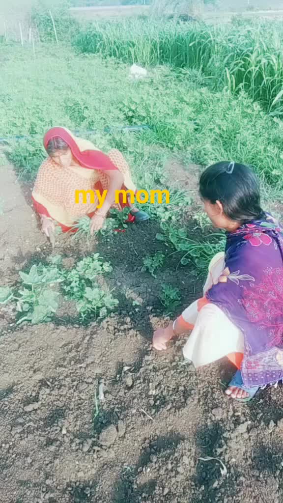 @bhai bahan
