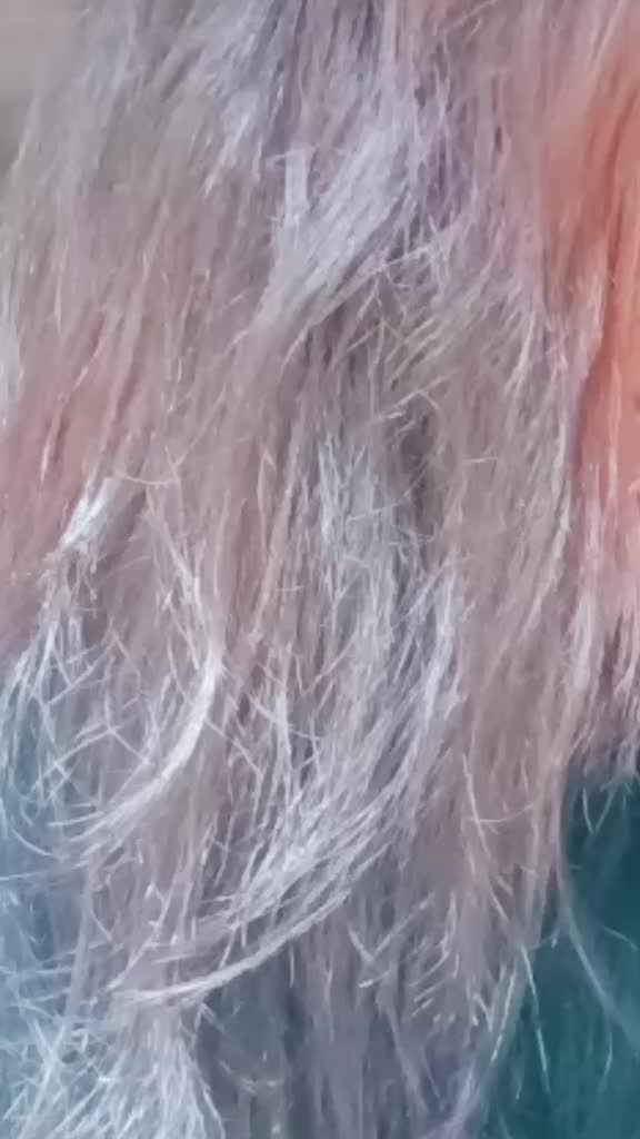 @dipa malo