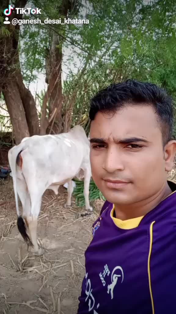 @TEAM RABARI