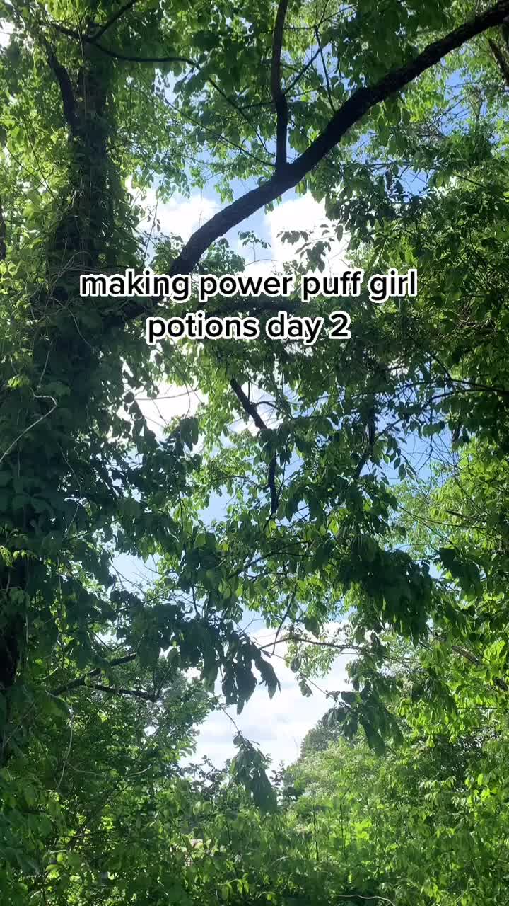 @fairy princess
