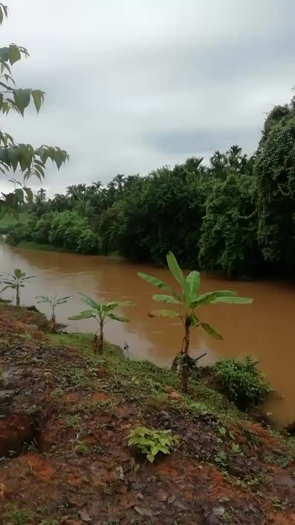 @Chammi poojary.❤