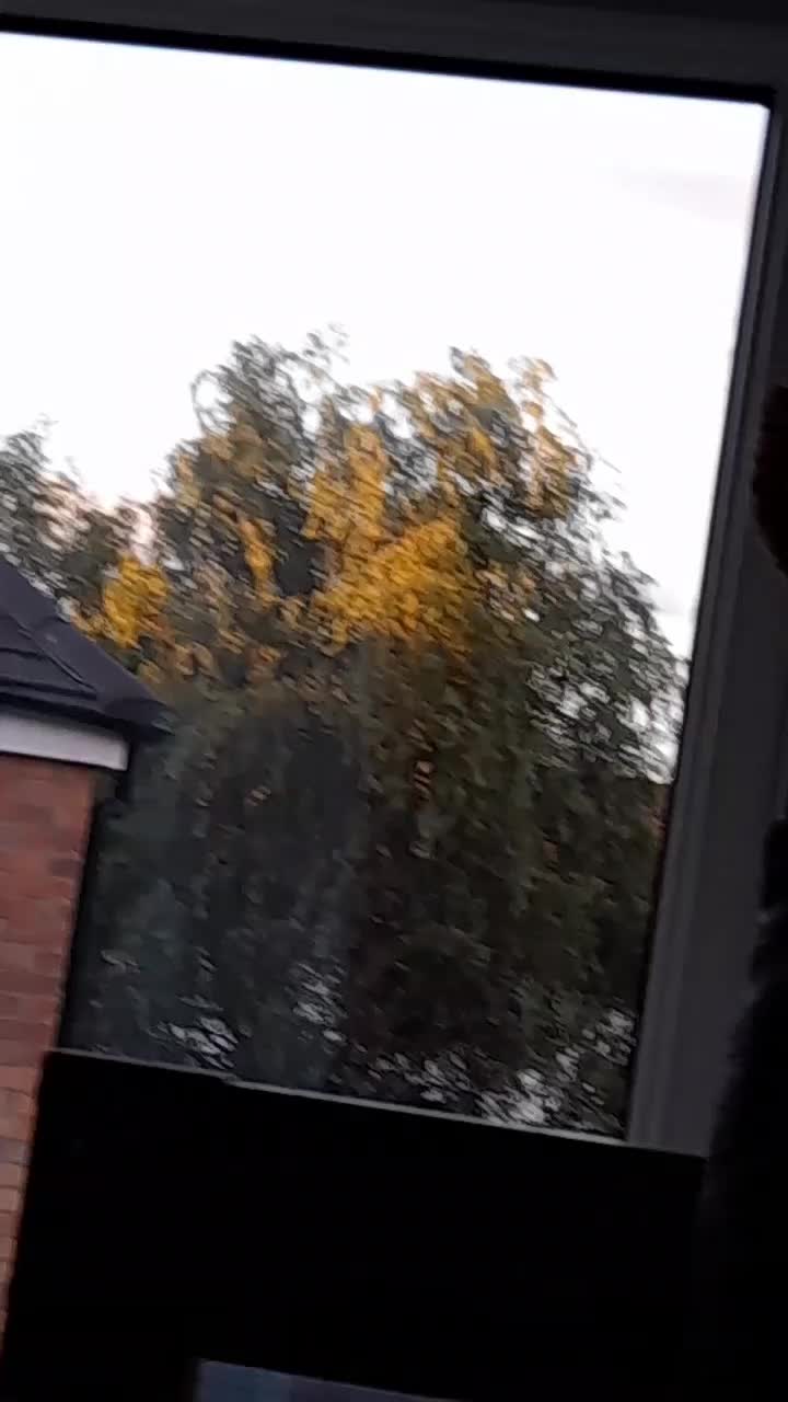 @pain.______.hubb