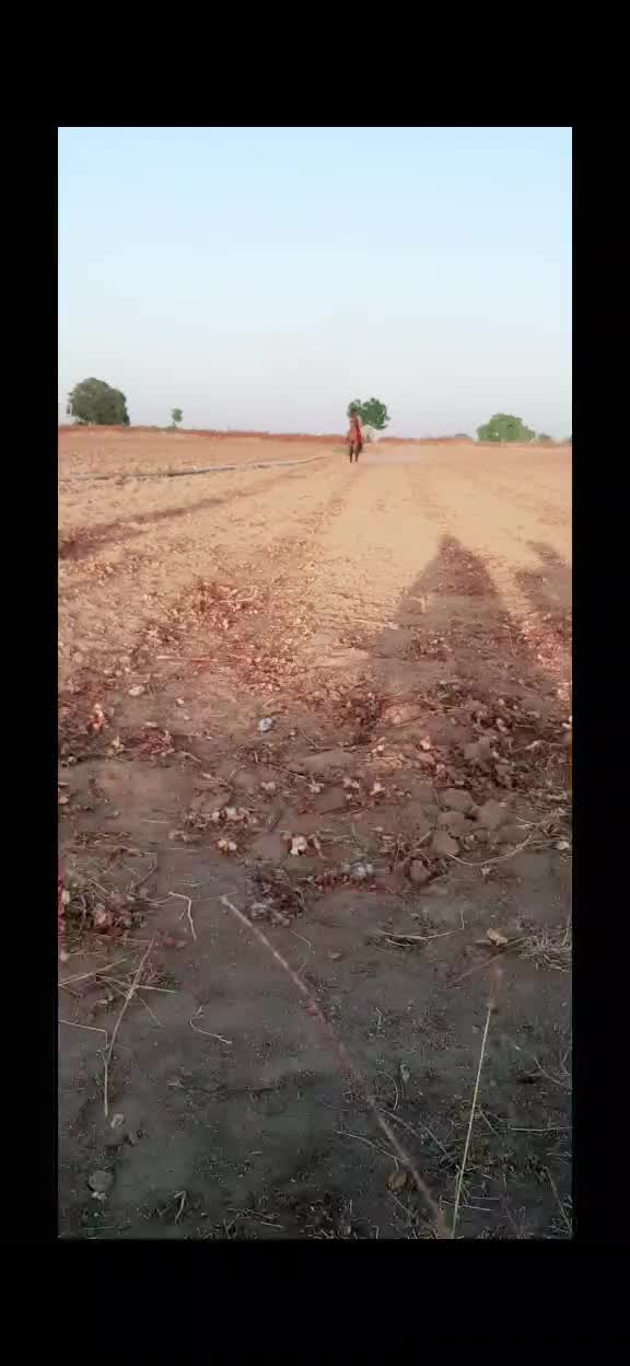@jayrajsinh_7007
