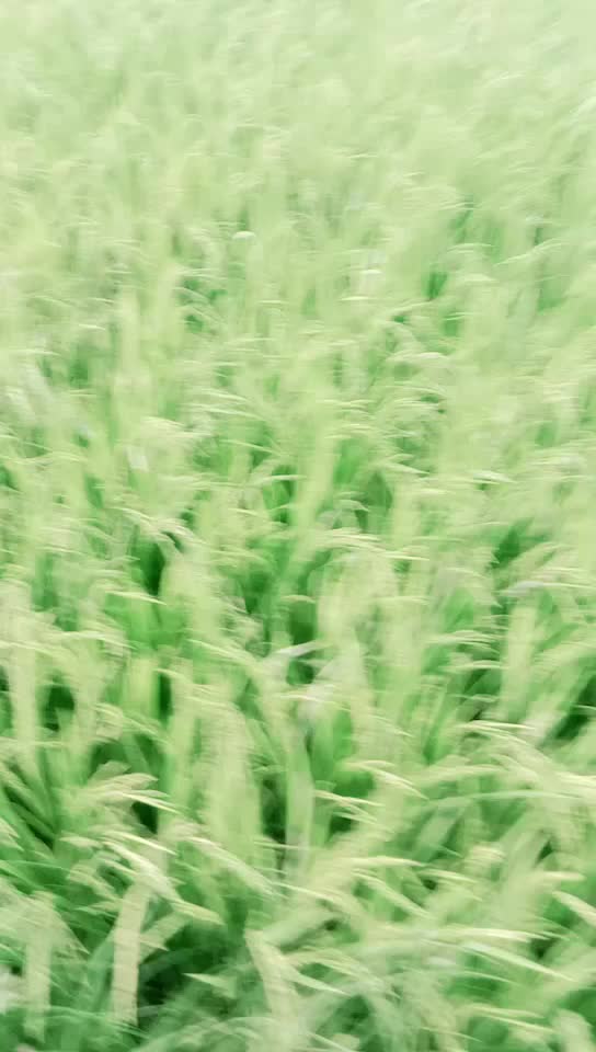 @๐ jagu Bhai ๐