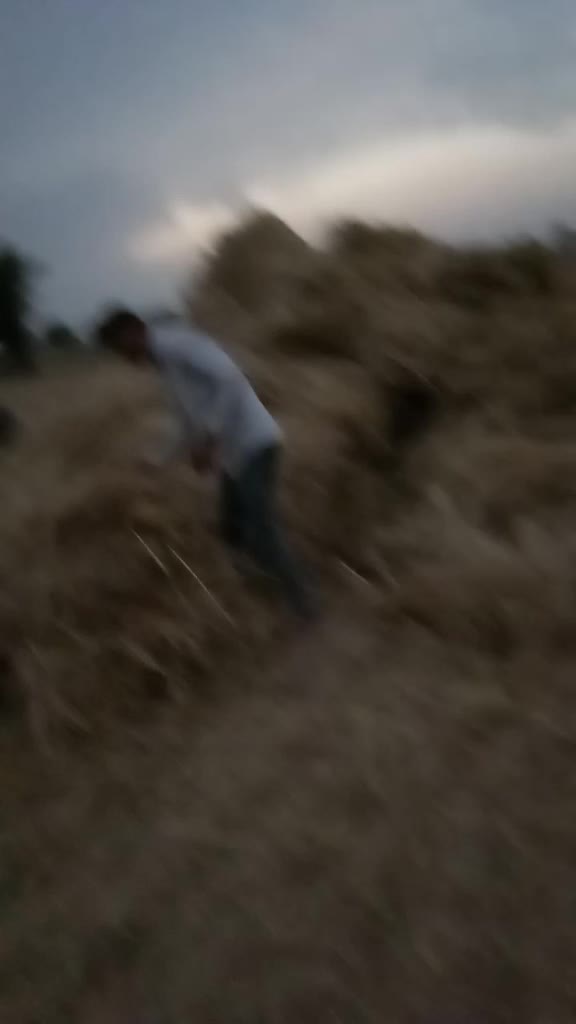 @VikashKumar6563