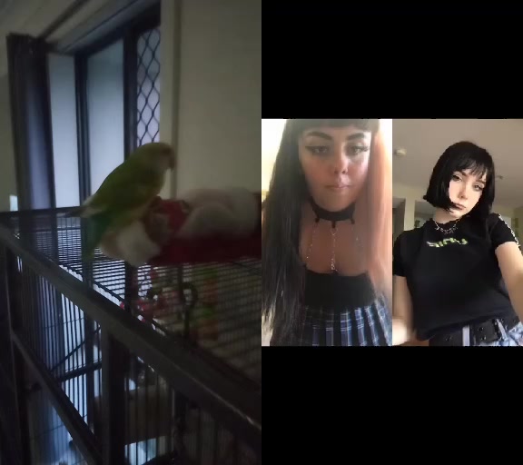 @grace_eww