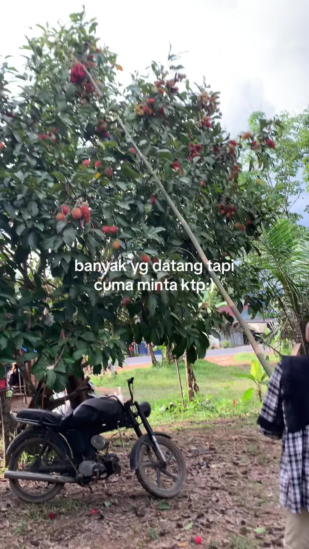 @ebew