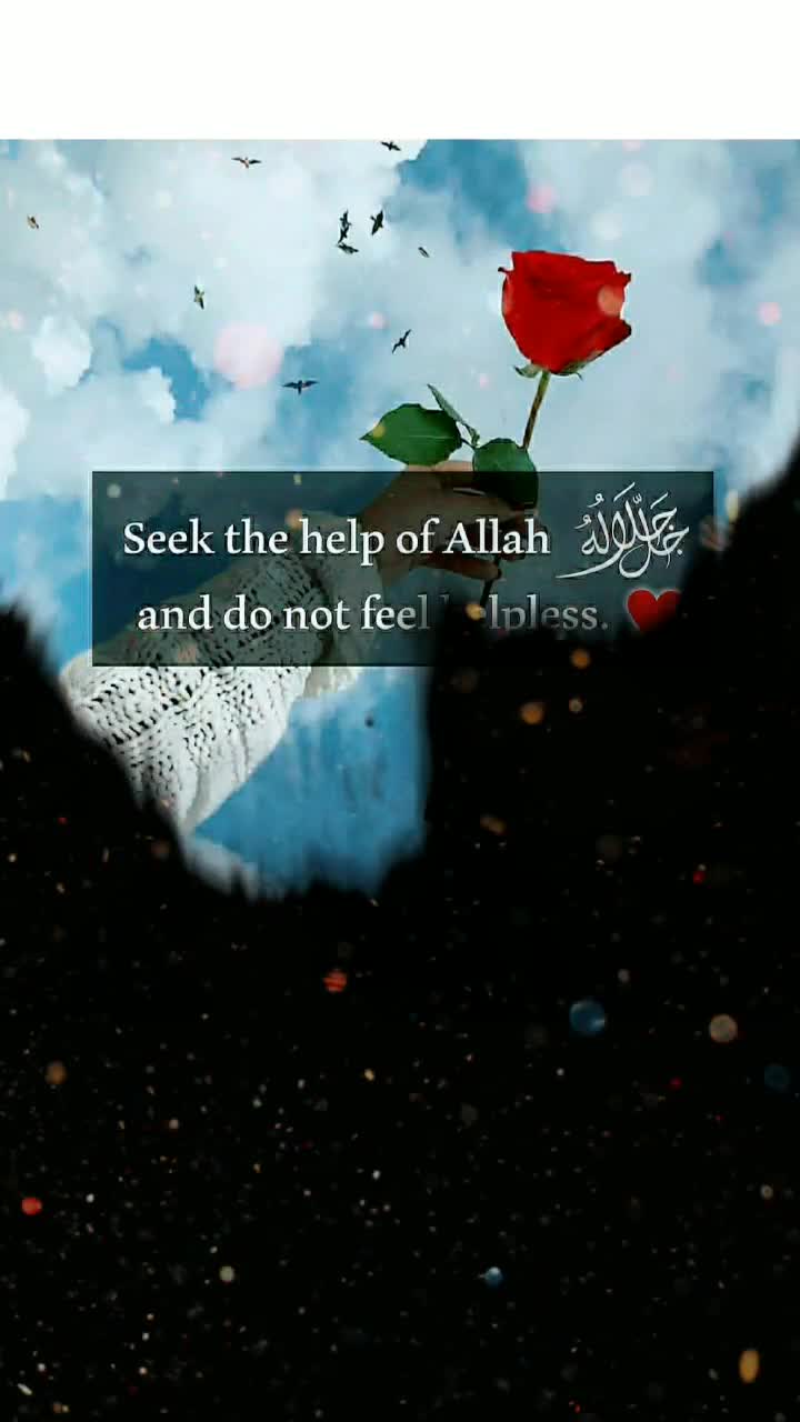 @NAFIS SHAIKH👑