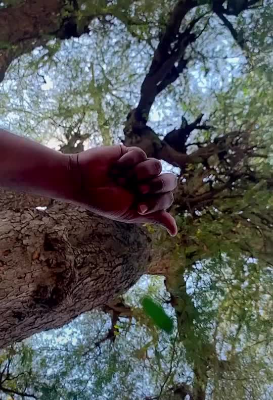 @Praveen Raj