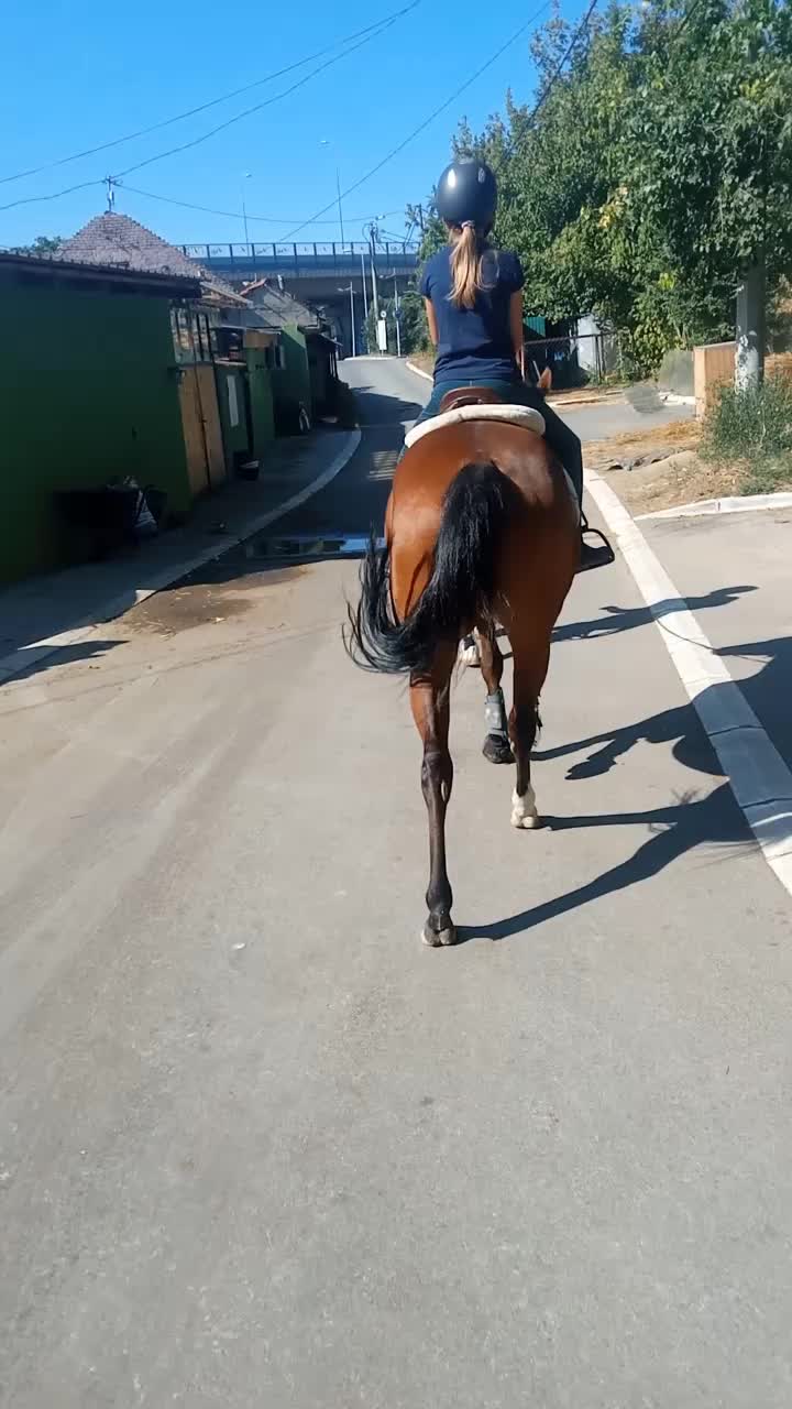@меги🐎
