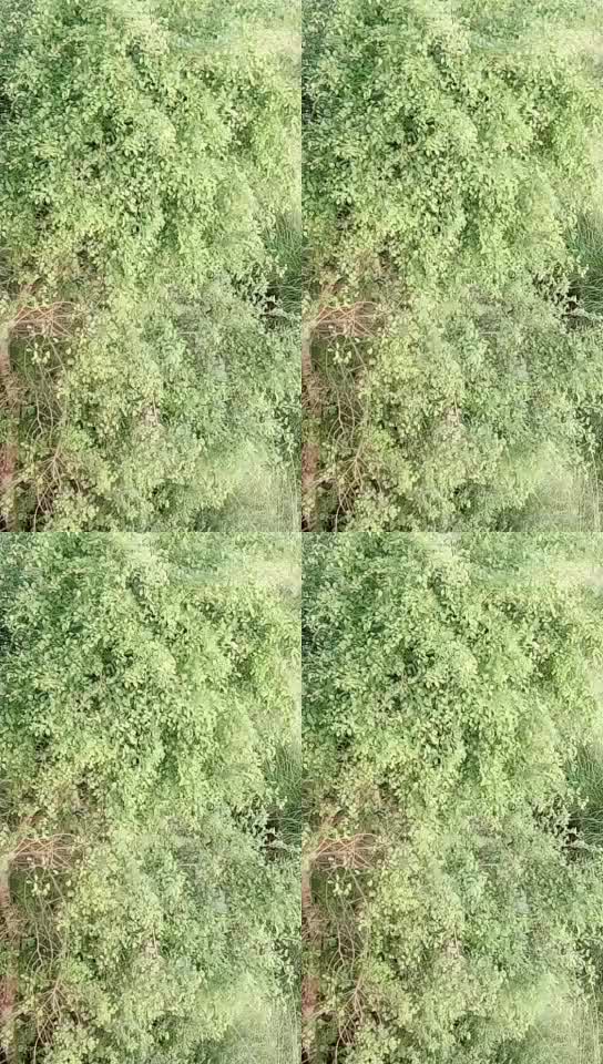 @❤__Jatavni __❤