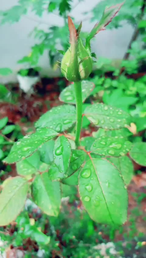 @🔱നിഖിൽ 🔱
