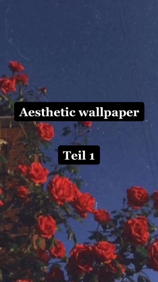 @PROFILBILDER💎