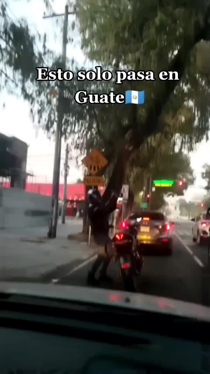 @LigiaCg🦋