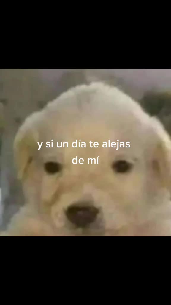 @&ntilde;