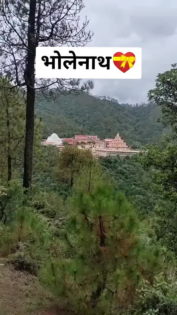 @🏅 Naveen Bisht 🏅