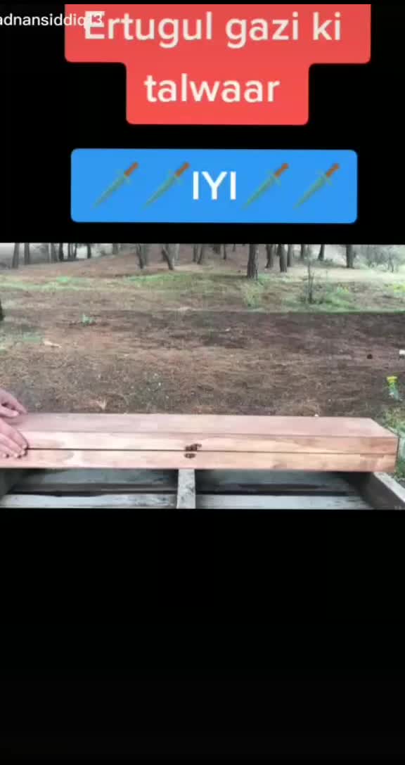 @user79165528957