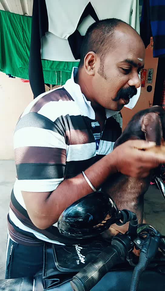 @Siva Siva