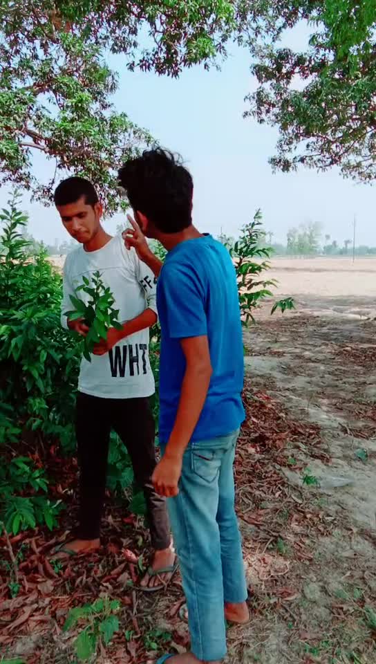 @Mohd _Haseeb