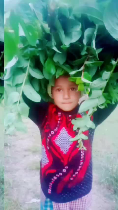 @Ankita chand