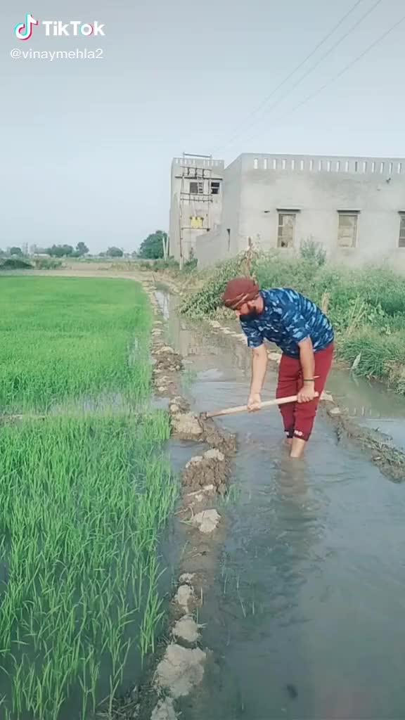 @vimal mehla ror boy