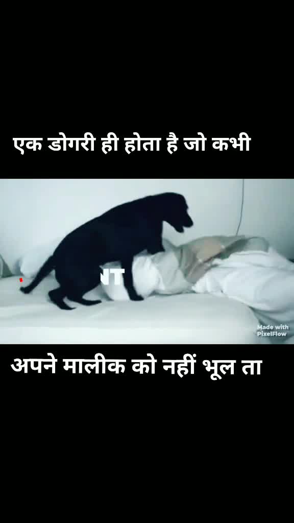 @🗡👑SabKa Baap👑🗡