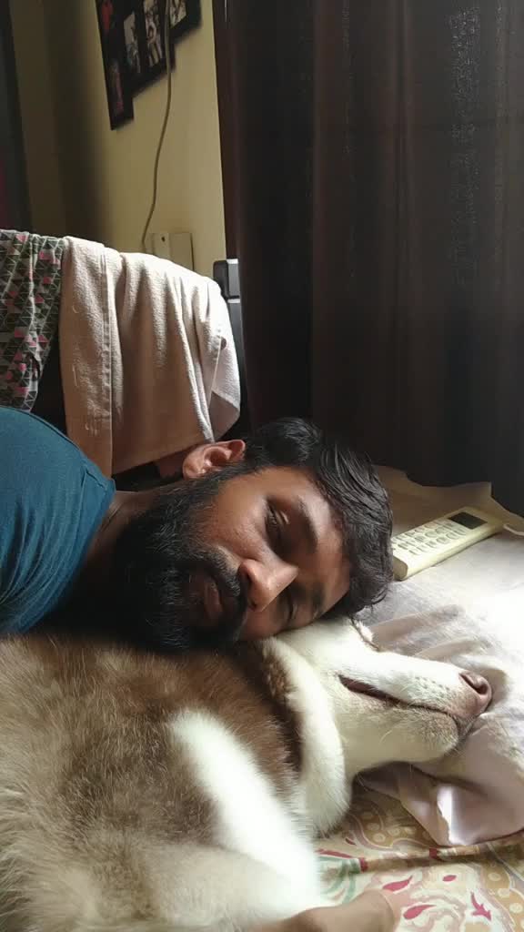 @user8868803908225