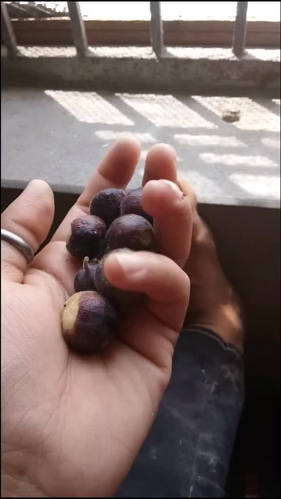 @😘काजल 🌸ठाकुर😘