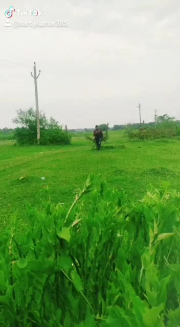 @manas kumar