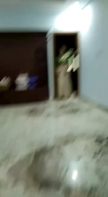 @_Apple_dog_