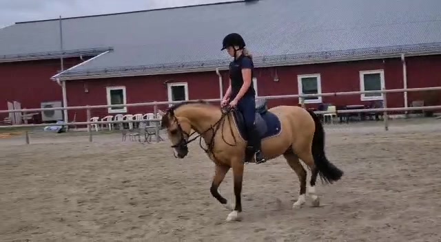 @Horses♡