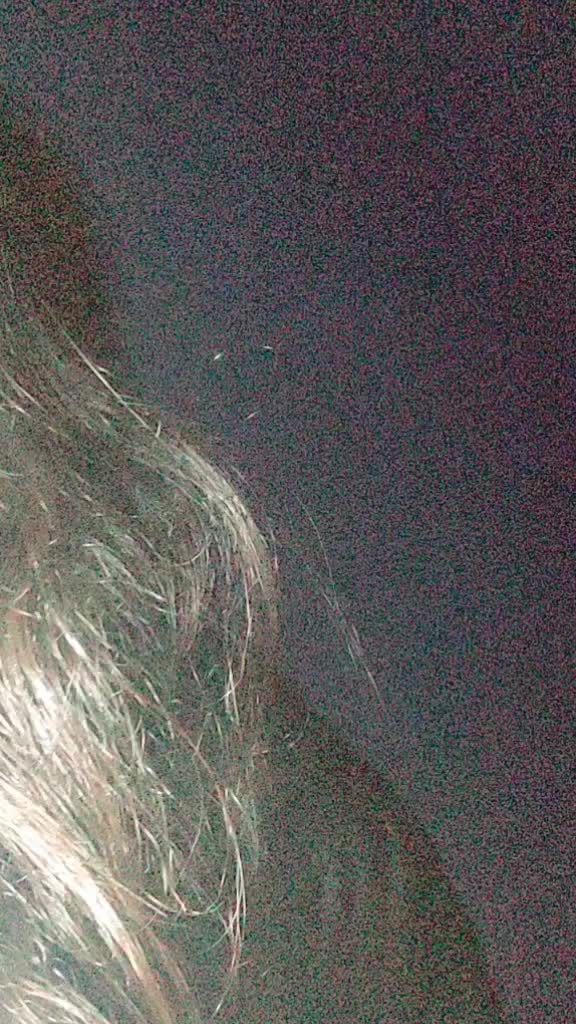 @ashu