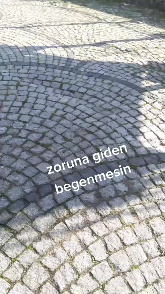 @Enes Akman