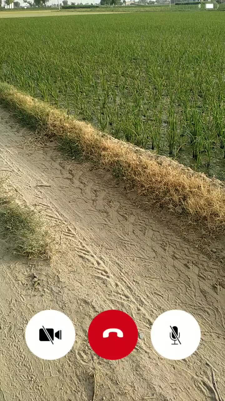 @user2550699394368