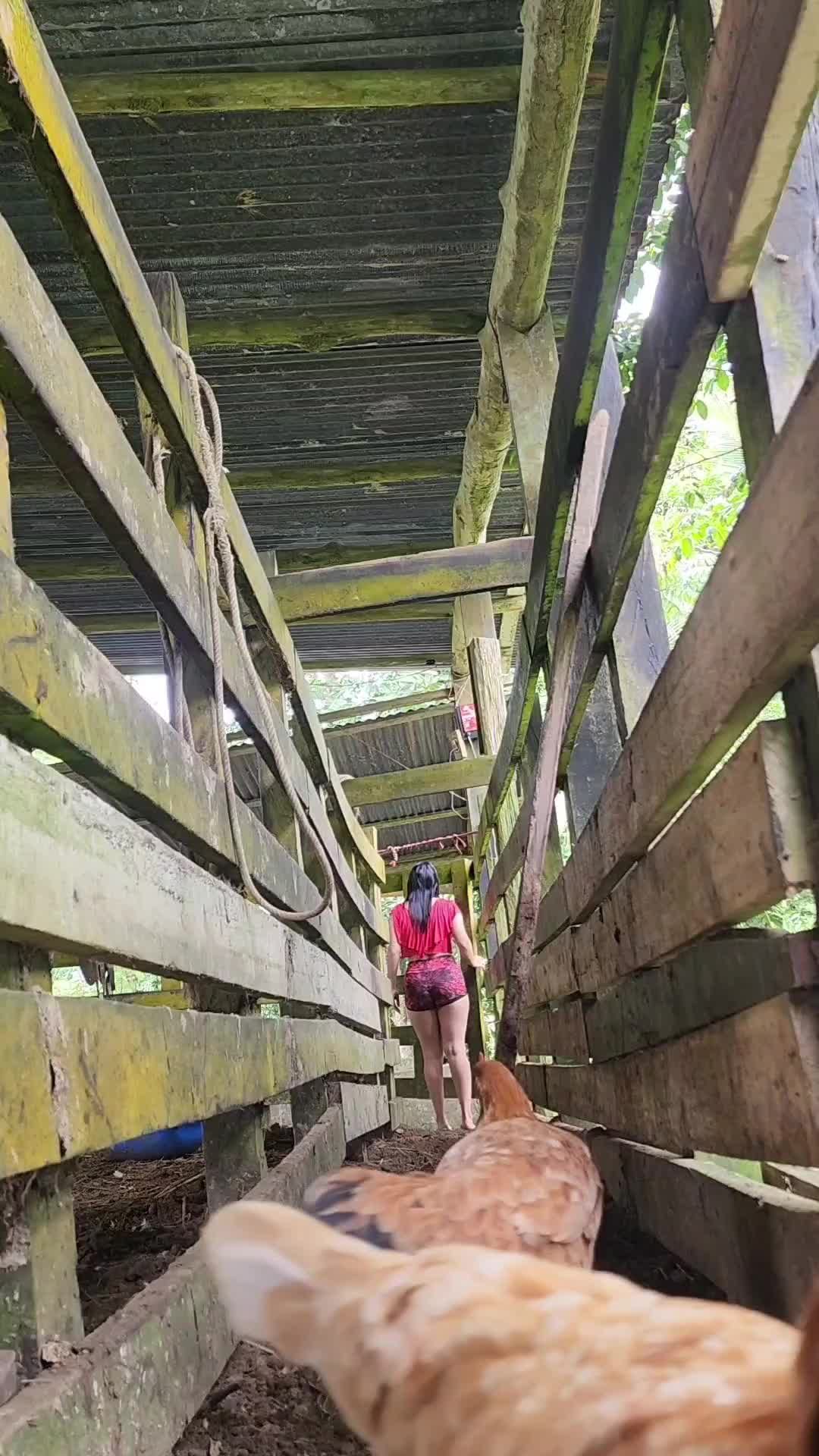 @Mari03🇨🇷