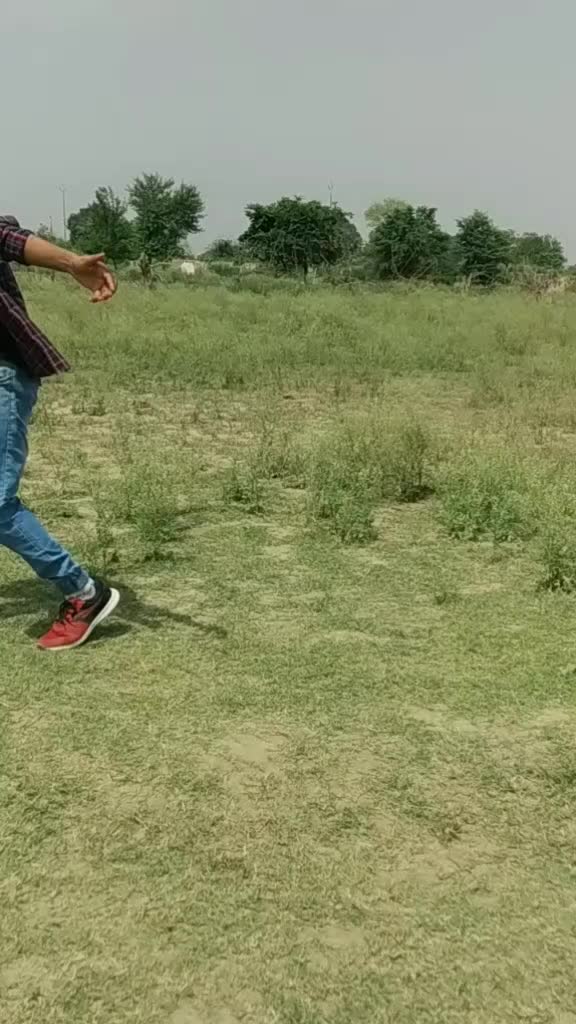 @Dinesh Parashar