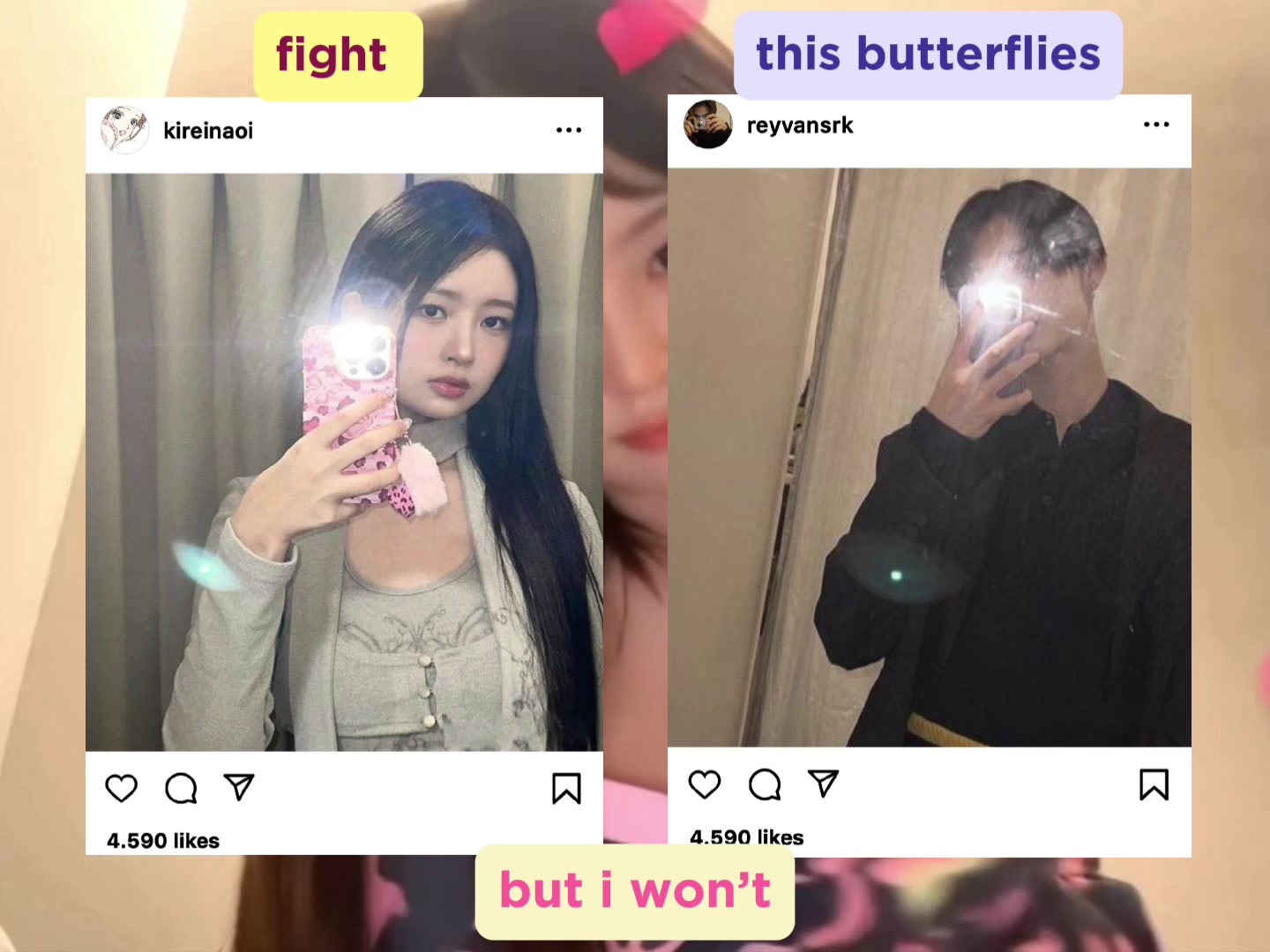 @🍰
