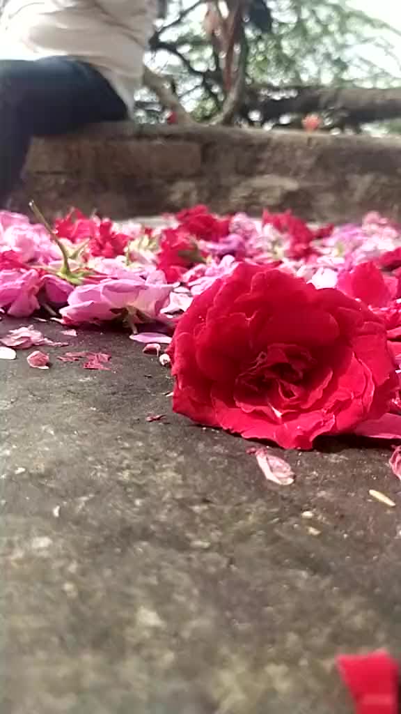 @Baryia Bhavesh