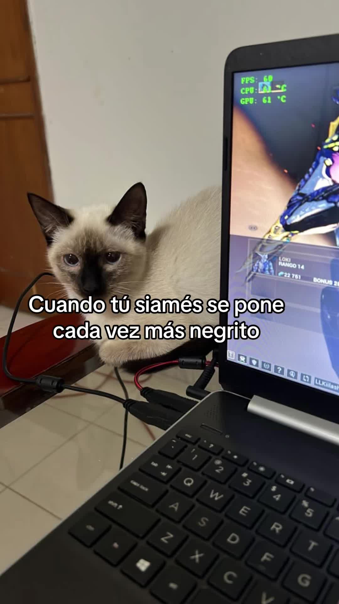 @María Betania