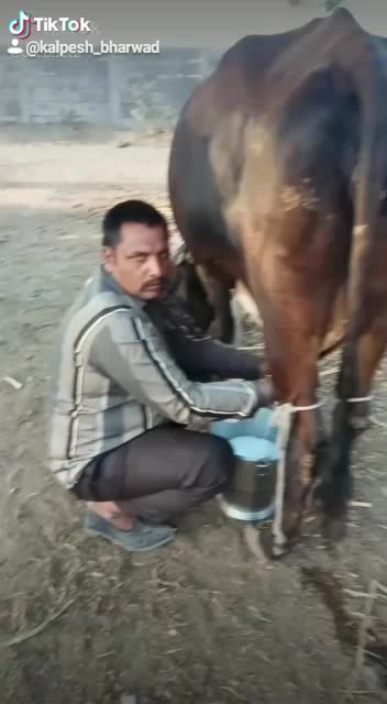 @D.K.ભુવા
