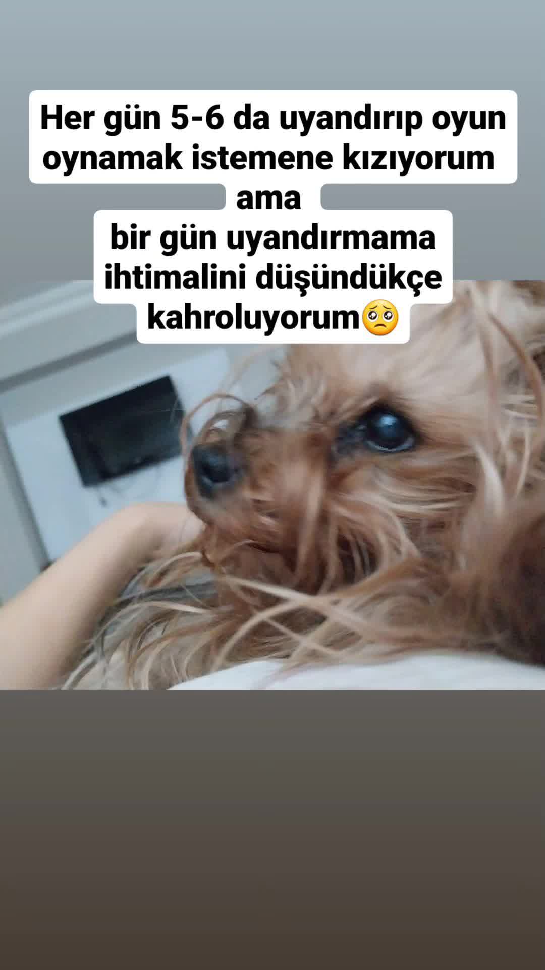 @Angelll😇