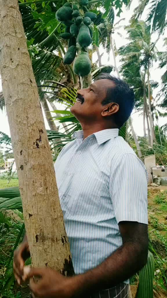 @நெல்லை தங்கராஜ்