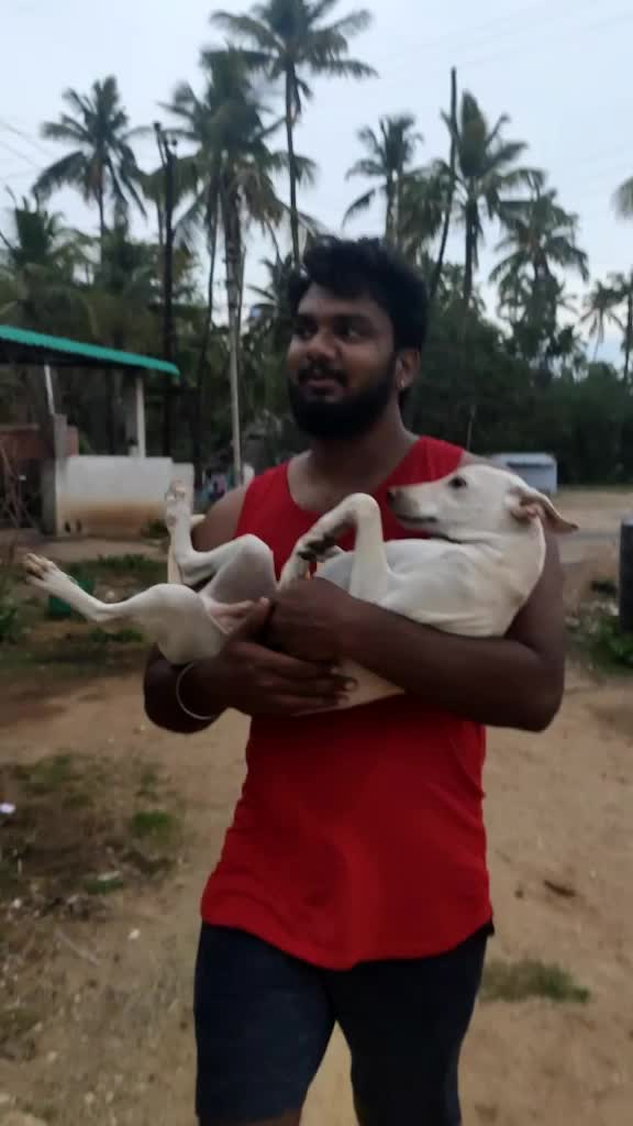 @Vigneshsubramaniam