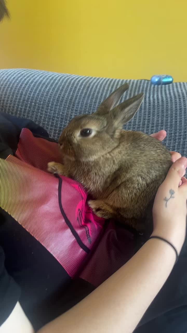 @Bugz_adventures 💙🐰