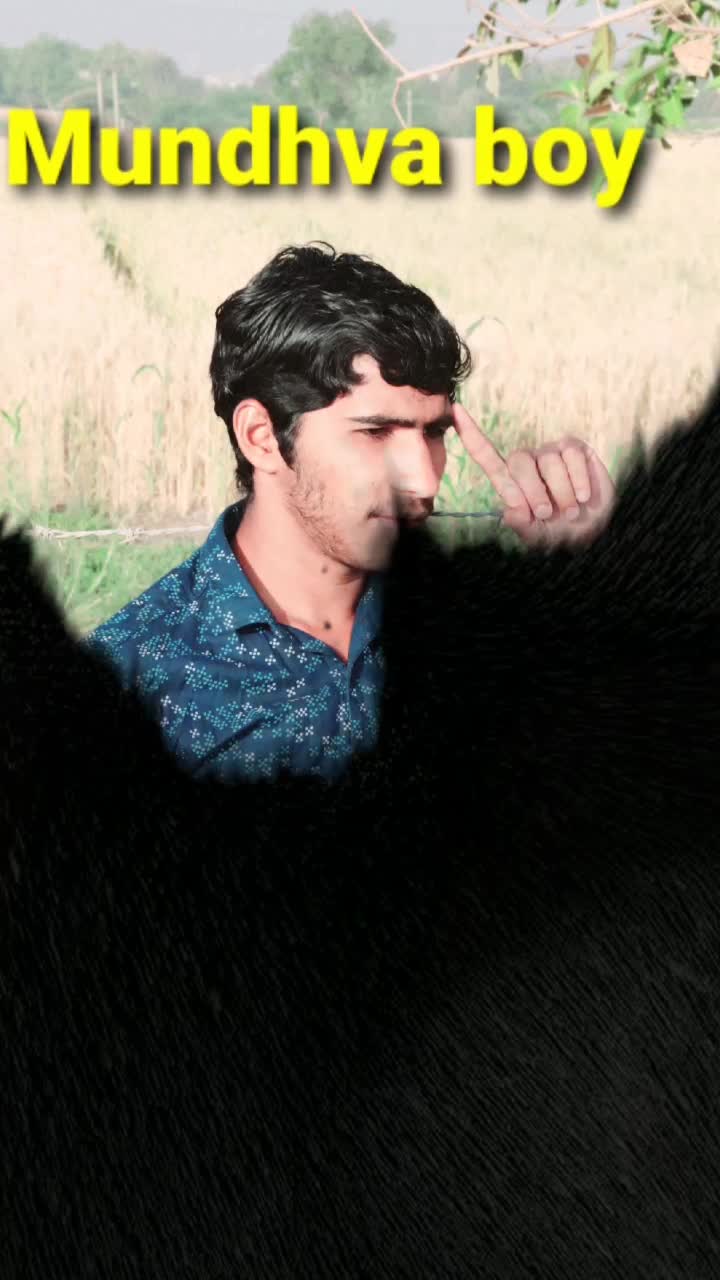 @Shayar Mundhva