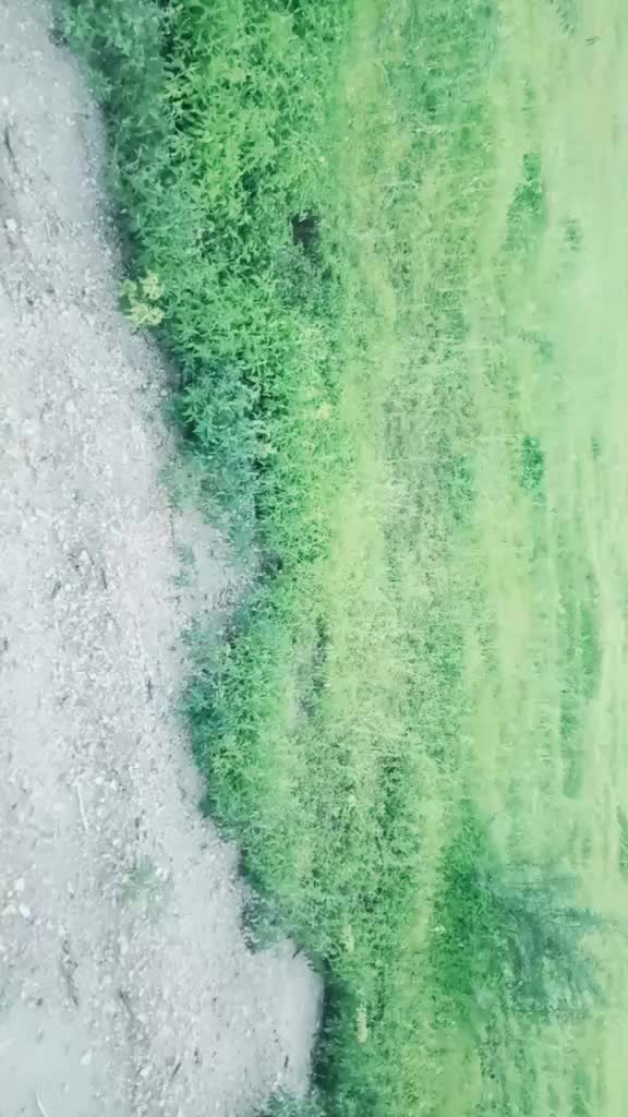 @gopalbhuvi