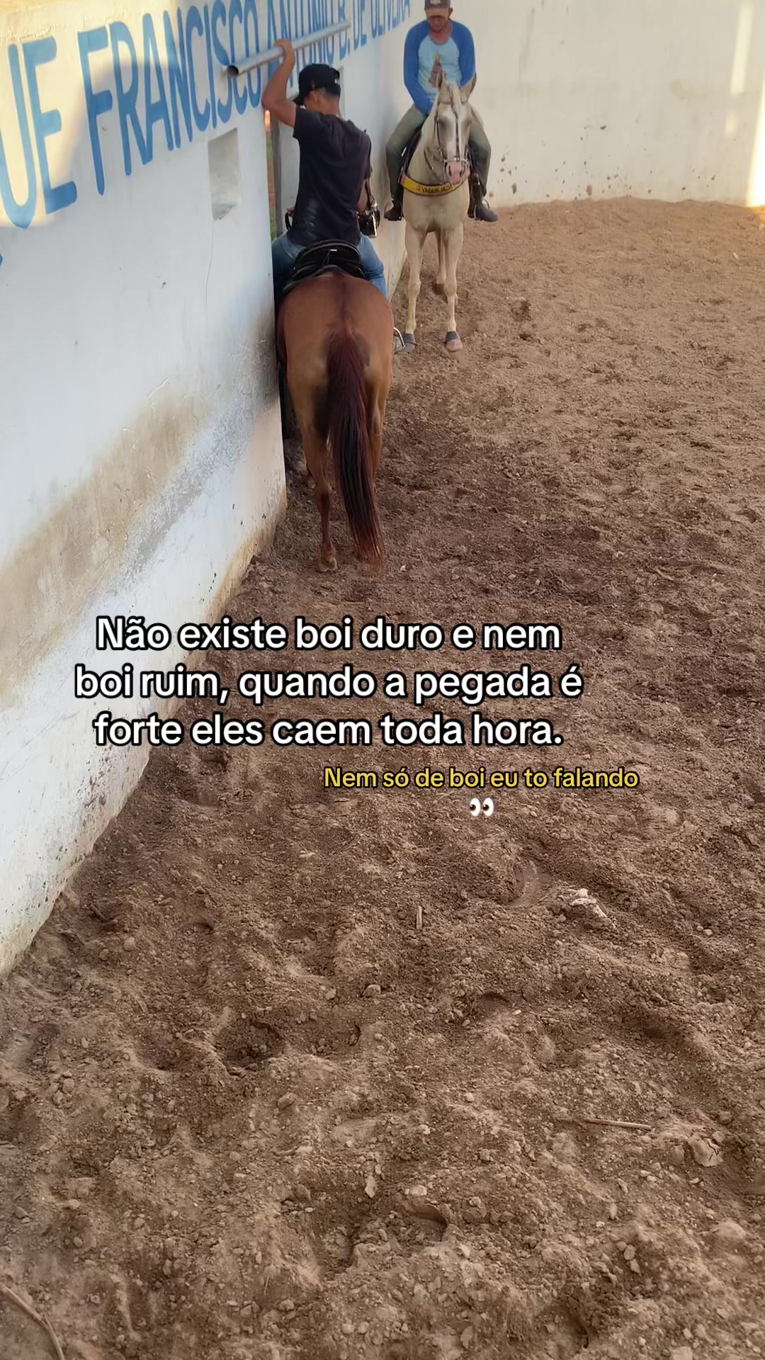 @felipe_linhares