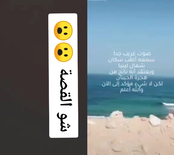 @laithalshame7