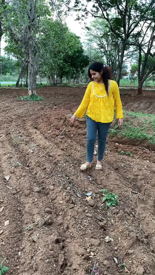 @Meghana Bachewal